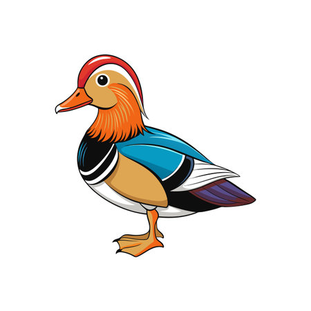 Colorful Mandarin Duck Vector Illustration on White Backgroundのイラスト素材