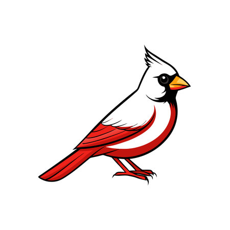 Vibrant Cardinal Bird Illustration on White Background Stock Image