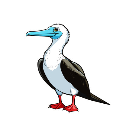 Cartoon blue-footed booby bird standing on white background illustrationのイラスト素材