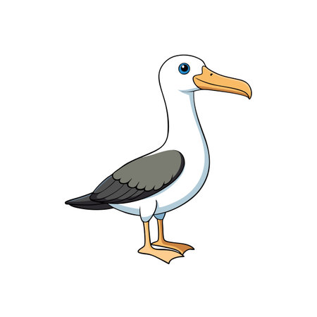 Cartoon Seagull standing isolated on white background illustrationのイラスト素材