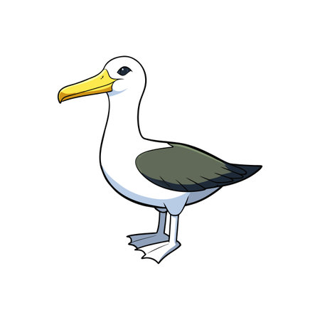 Cartoon albatross with black outlines on a white backgroundのイラスト素材