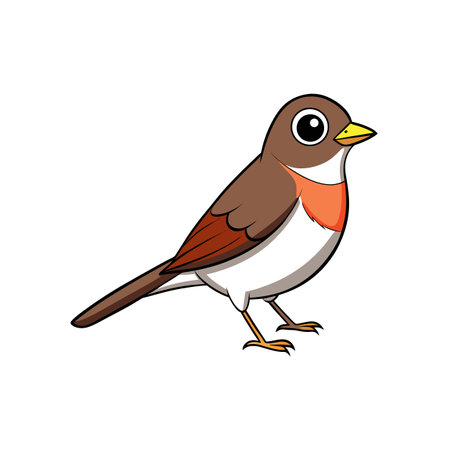 Cartoon robin illustration on white background, simple design style