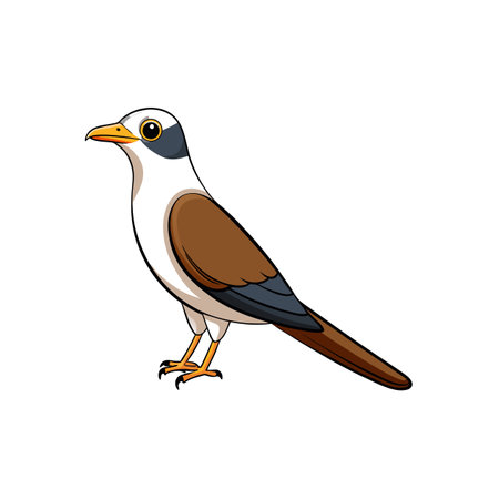 Cute cartoon cuckoo bird illustration with brown wingsのイラスト素材