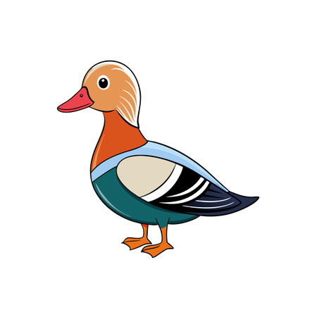 Cartoon style Mandarin duck illustration isolated on white backgroundのイラスト素材