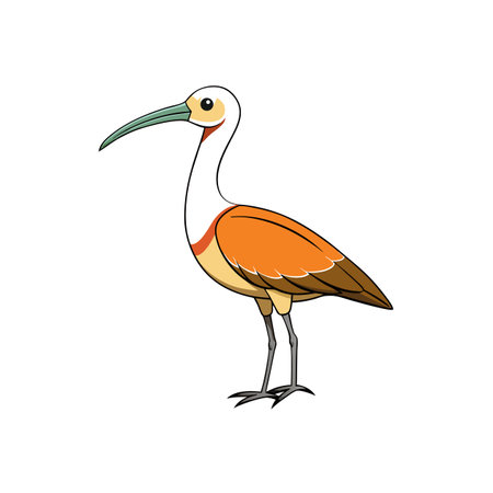 Cartoon Ibis illustration with orange feathers and green beakのイラスト素材