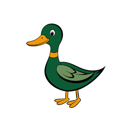 Cartoon mallard duck illustration standing on white backgroundのイラスト素材