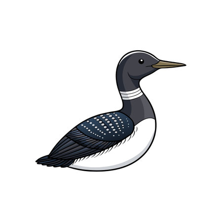 Cartoon illustration of a common loon bird in profileのイラスト素材