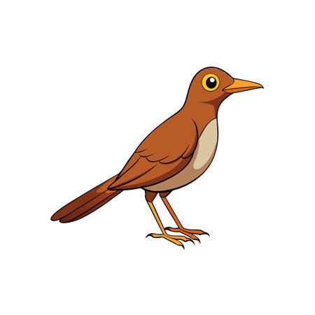 Cartoon illustration of a brown thrush bird standing tallのイラスト素材