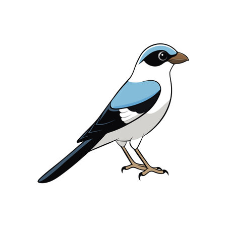 Cartoon illustration of a Loggerhead Shrike perched on whiteのイラスト素材