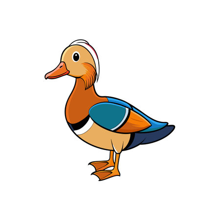 Cartoon style mandarin duck isolated on white backgroundのイラスト素材