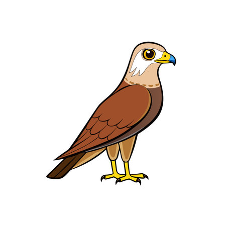 Cartoon style hawk illustration standing in profile isolatedのイラスト素材