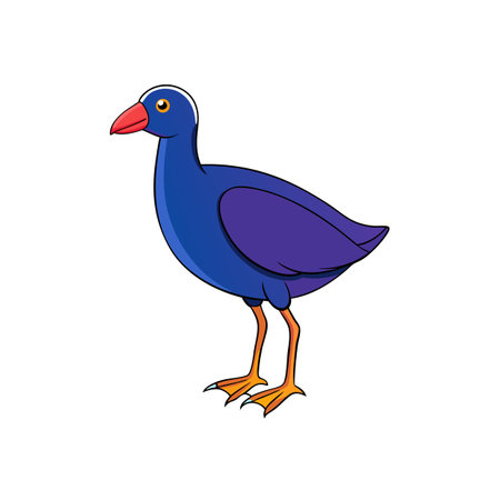 Cartoon Pukeko Illustration with Vibrant Plumage and Bold Outlinesのイラスト素材