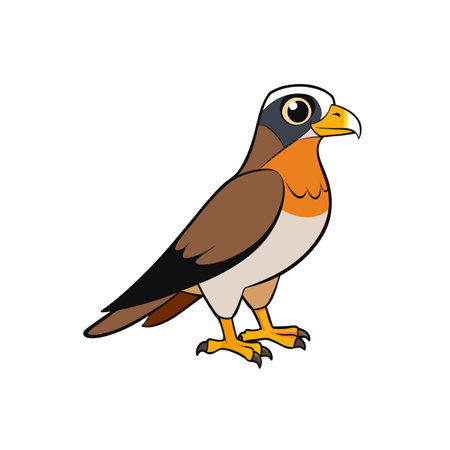 Cartoon style falcon illustration standing on white background, eye-levelのイラスト素材