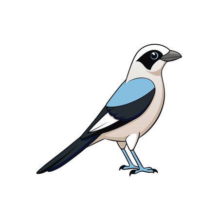 Cartoon Illustration of a Loggerhead Shrike Bird on Whiteのイラスト素材