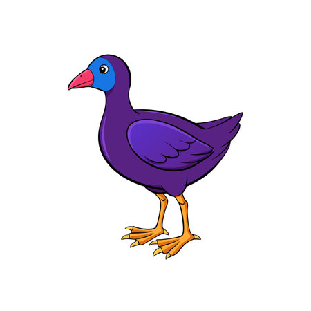 Cartoon illustration of a purple swamphen standing on whiteのイラスト素材