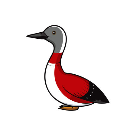 Cartoon Red-throated Loon standing on white background illustrationのイラスト素材
