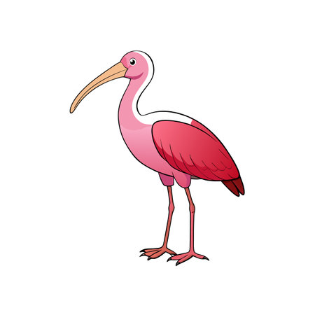 Cartoon style scarlet ibis with curved beak illustrationのイラスト素材