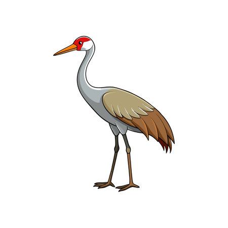 Cartoon Sandhill Crane standing tall with elegant style imageのイラスト素材