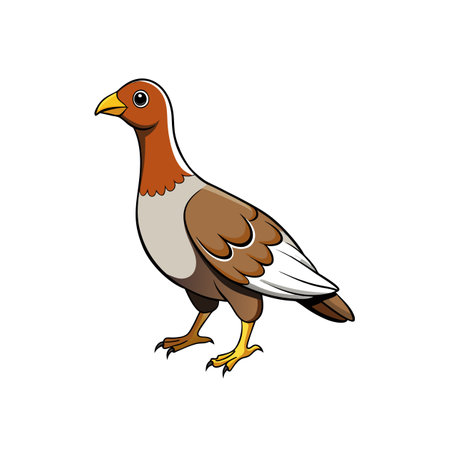 Cartoon Partridge Illustration with Earth Tone Colors on Whiteのイラスト素材