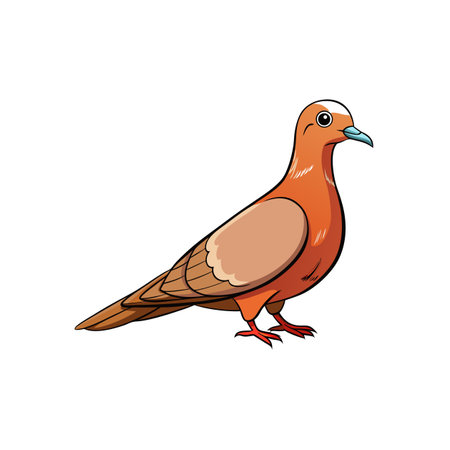 Illustrated dove bird standing facing right on a white backdropのイラスト素材