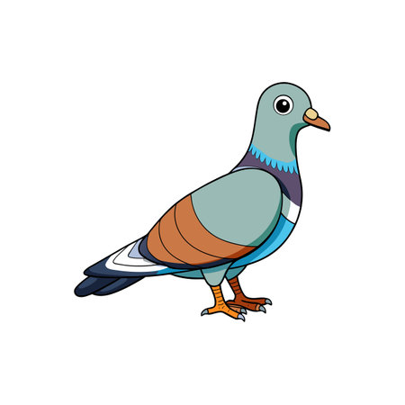 Cartoon pigeon illustration with bold outline on white backgroundのイラスト素材