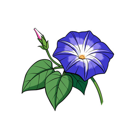 Cartoon illustration of a vibrant morning glory flower bloomのイラスト素材