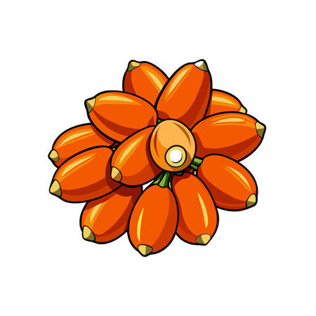 Collection of orange fruits clustered together on a white backgroundのイラスト素材