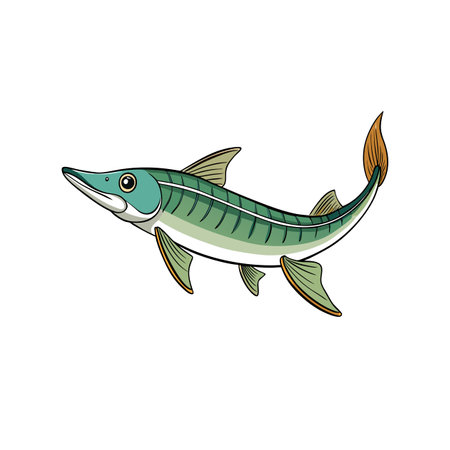 Cartoon barracuda fish illustration swimming, aquatic wildlife graphic designのイラスト素材