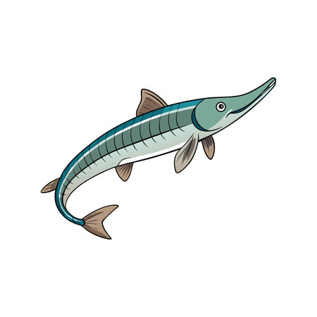 Cartoon needlefish swimming upwards against a plain white backgroundのイラスト素材
