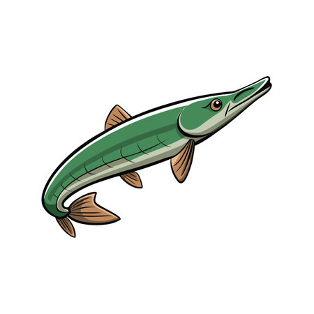 Cartoon barracuda fish with long snout and sharp teethのイラスト素材