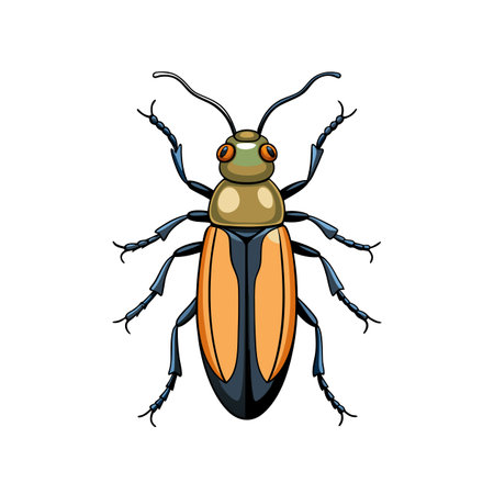 Cartoon beetle insect illustration with orange and brown coloringのイラスト素材