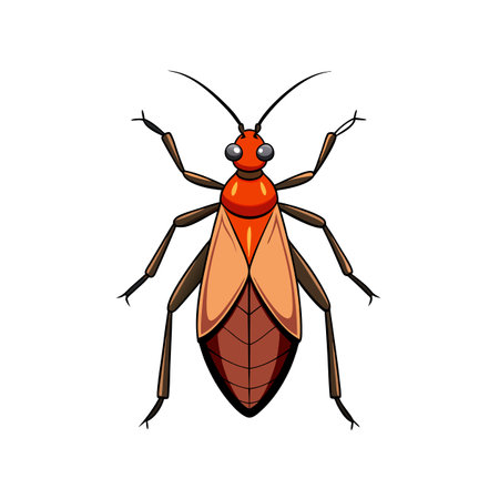 Cartoon insect illustration featuring seed bug on white backgroundのイラスト素材