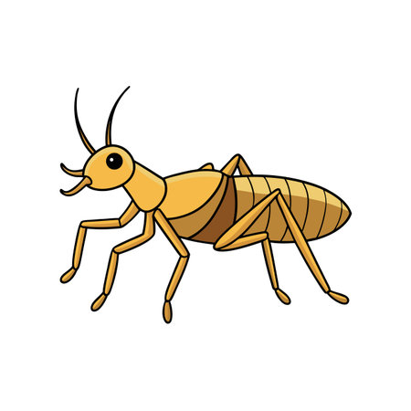 Cartoon earwig insect illustration for educational or design purposes