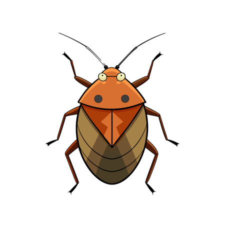 Cartoon vector drawing of an orange brown bug illustration