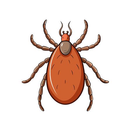Isolated cartoon tick parasite illustration against a white backgroundのイラスト素材