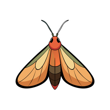 Cartoon moth vector graphic with warm color paletteのイラスト素材