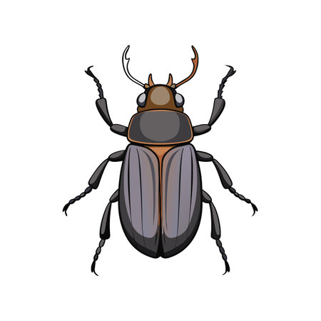 Illustration of a stylized beetle isolated on white backgroundのイラスト素材