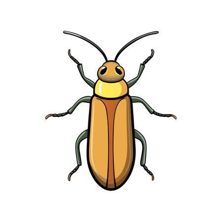 Cartoon-styled beetle illustration on a white background for designのイラスト素材