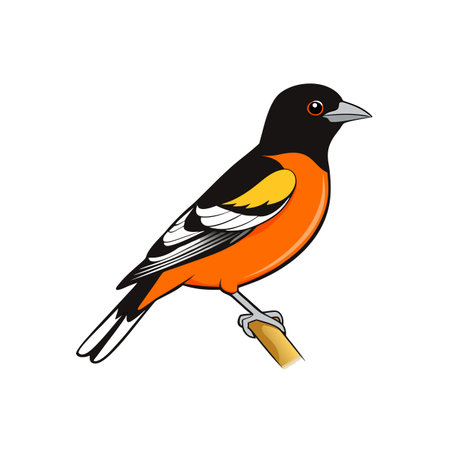 Illustration of a colorful oriole perched on a branchのイラスト素材
