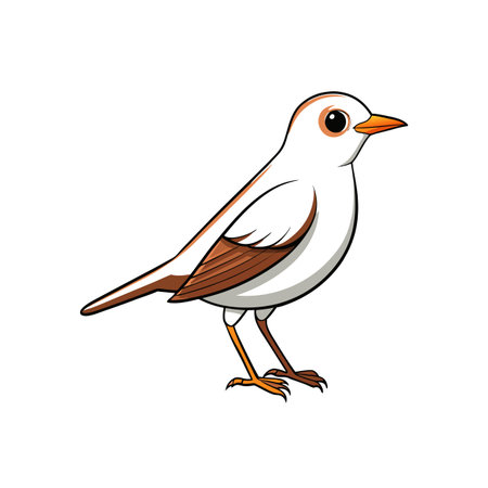 Cartoon illustration of a nightingale bird in vector formatのイラスト素材