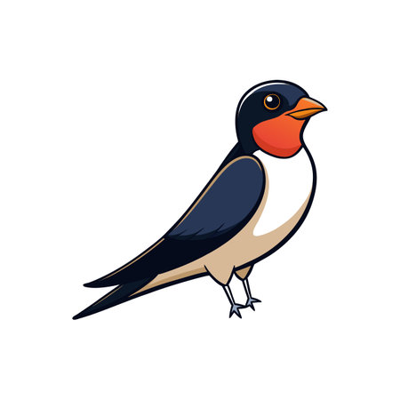 Charming cartoon illustration of a swallow in standing postureのイラスト素材