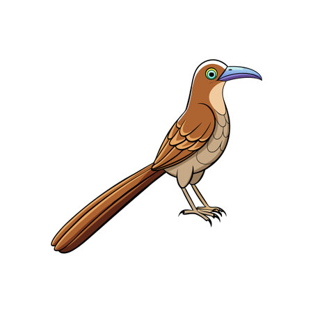 Cartoon style Long-billed Thrasher bird standing on white background