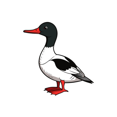 Cartoon illustration of a common merganser duck on whiteのイラスト素材