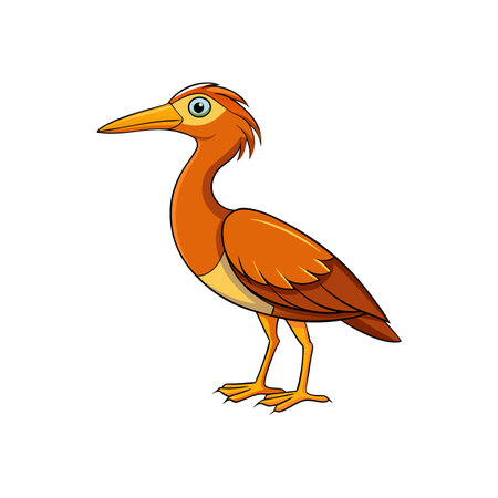 Orange cartoon heron standing isolated against white background illustrationのイラスト素材