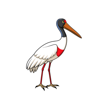 Cartoon jabiru stork with long beak, black headのイラスト素材