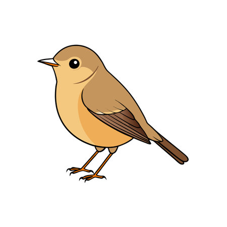 Cartoon illustration of a small brown bird on whiteのイラスト素材
