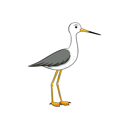Cartoon black winged stilt bird vector illustration artworkのイラスト素材