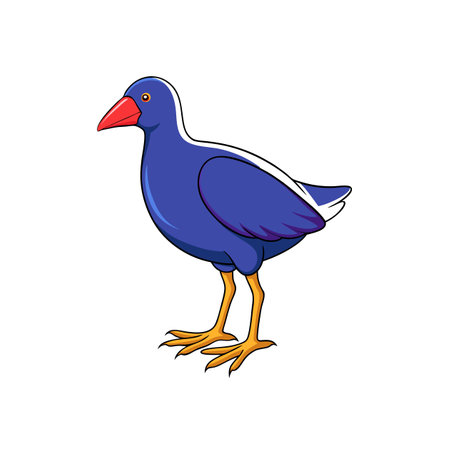 Cartoon Pukeko bird with purple feathers isolated against whiteのイラスト素材