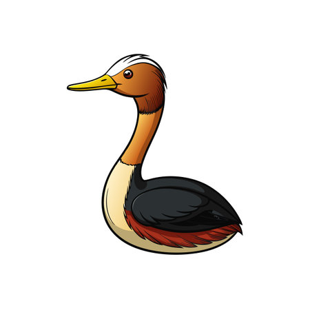 Cartoon illustration of a colorful Grebe waterbird isolatedのイラスト素材