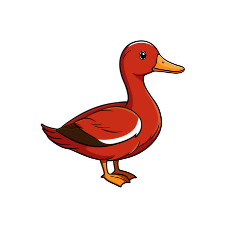 Cartoon illustration of a red duck on white backgroundのイラスト素材